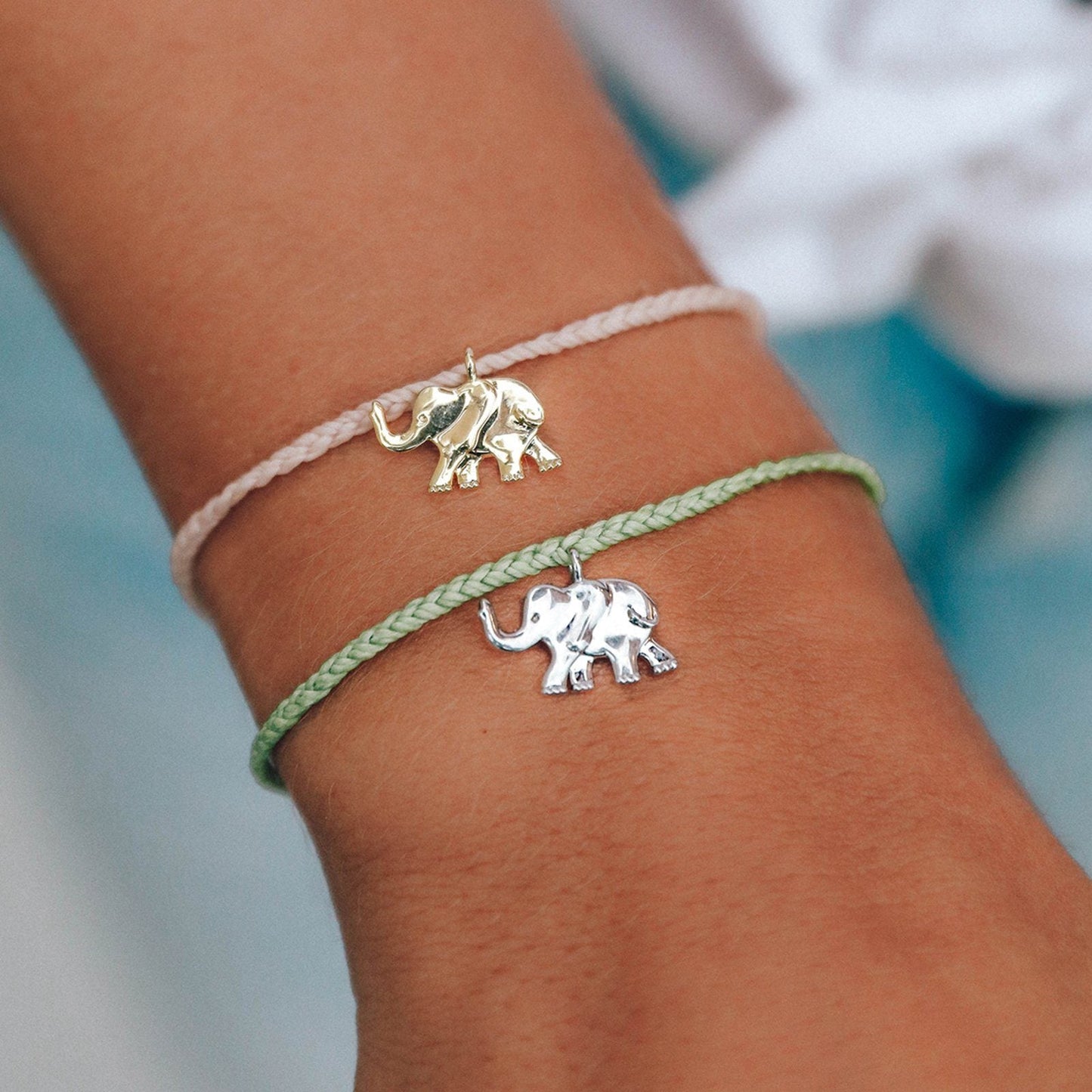 Save the Elephants Charm