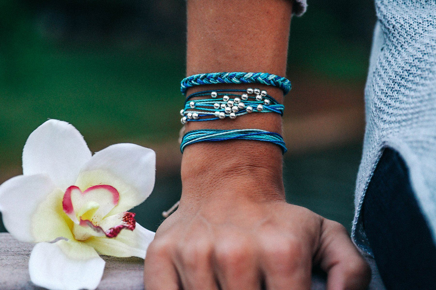 Save The Dolphins Pack