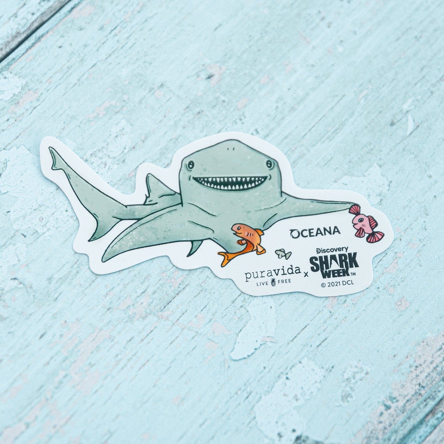 Shark Sticker