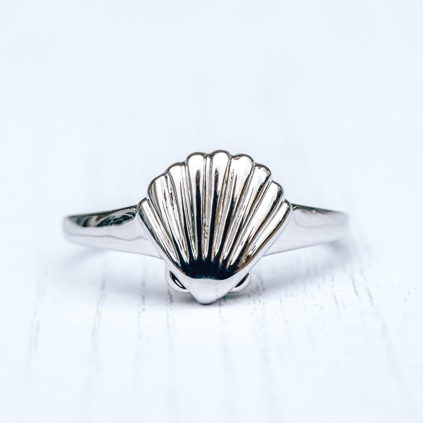 Shell Signet Ring