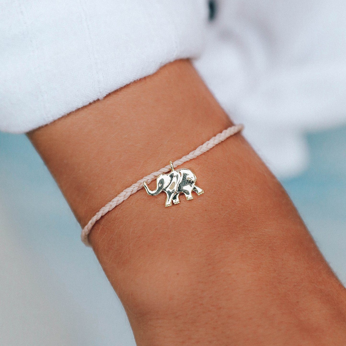 Save the Elephants Charm