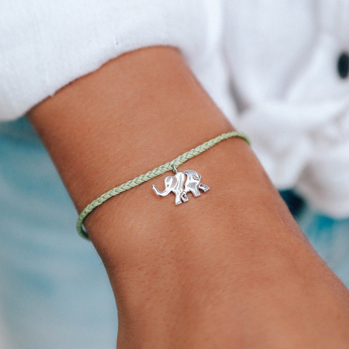 Save the Elephants Charm