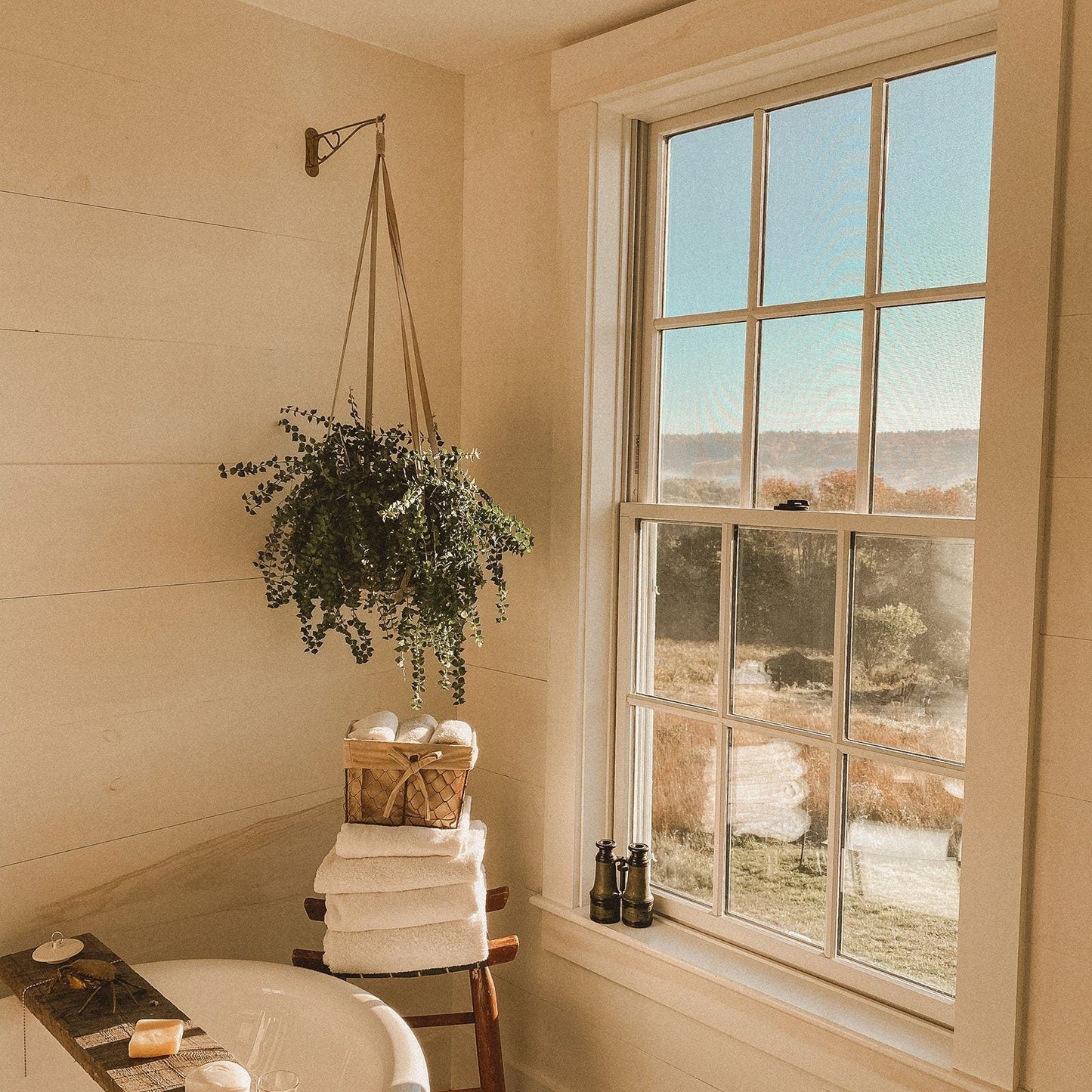 Toasty Preset by Alivia Fields